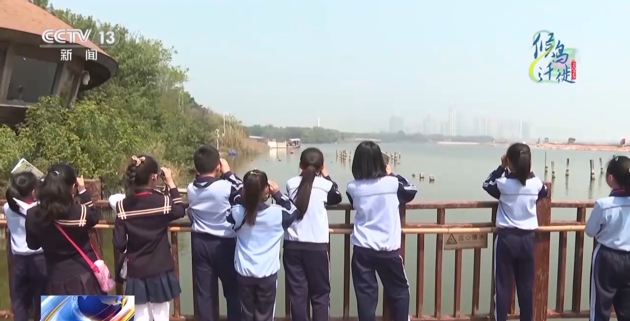 的明溪县 究竟有什么独特魅力？不朽情缘游戏网站在观鸟界火出圈(图14)