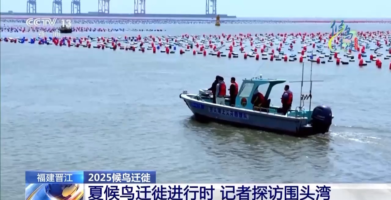 的明溪县 究竟有什么独特魅力？不朽情缘游戏网站在观鸟界火出圈(图7)