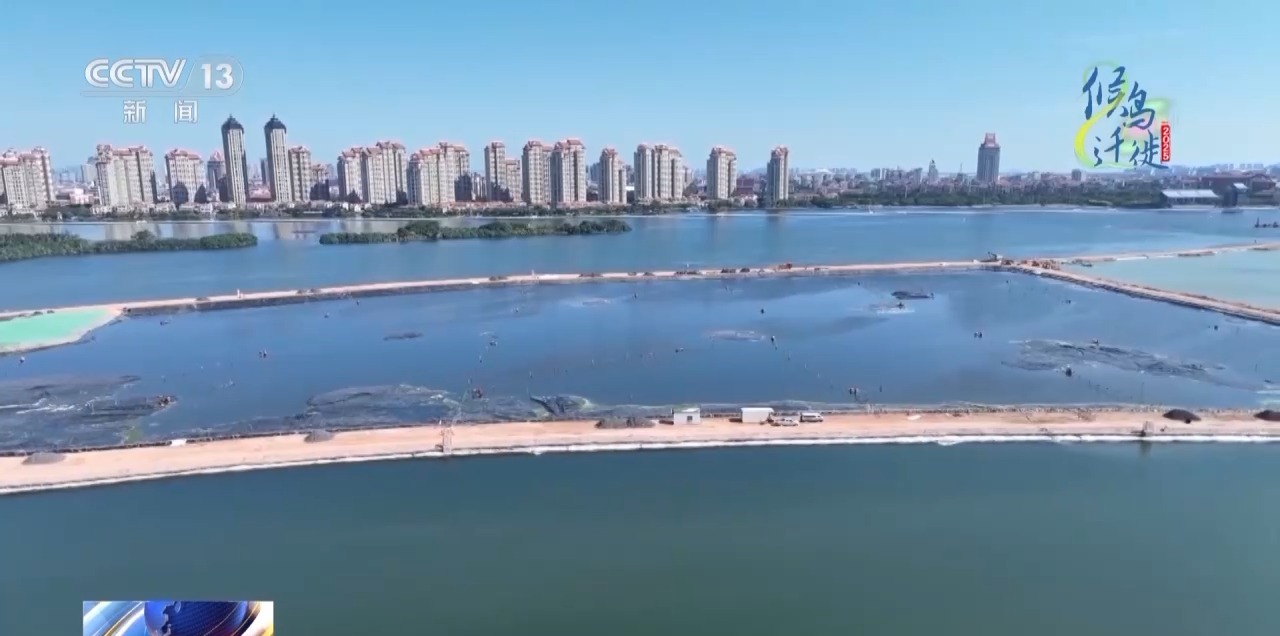 的明溪县 究竟有什么独特魅力？不朽情缘游戏网站在观鸟界火出圈(图8)