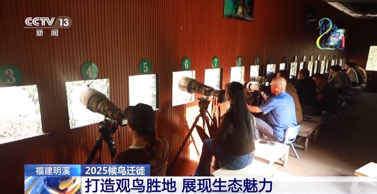 的明溪县 究竟有什么独特魅力？不朽情缘游戏网站在观鸟界火出圈(图13)