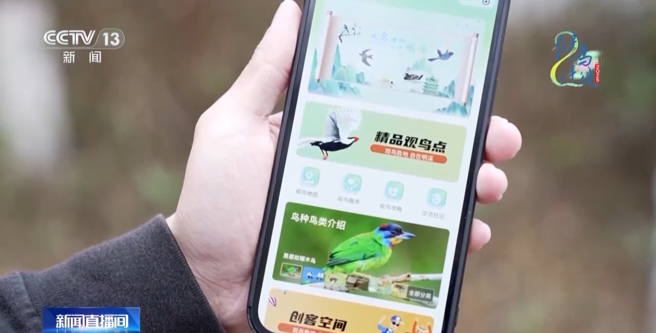 的明溪县 究竟有什么独特魅力？不朽情缘游戏网站在观鸟界火出圈(图16)