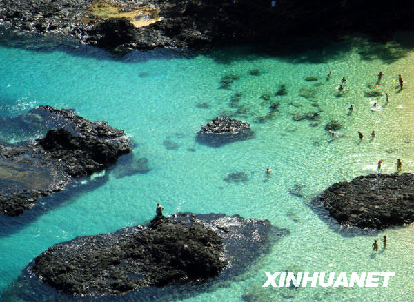 费尔南多—迪诺罗尼亚岛不朽情缘试玩版美丽的